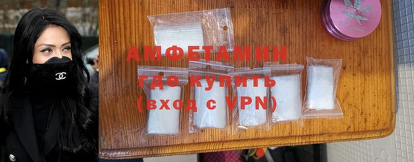 шишки Абаза