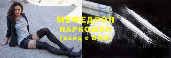 шишки Абаза