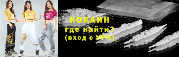шишки Абаза