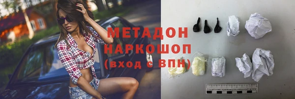 шишки Абаза