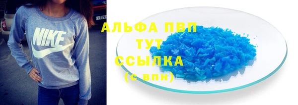 шишки Абаза