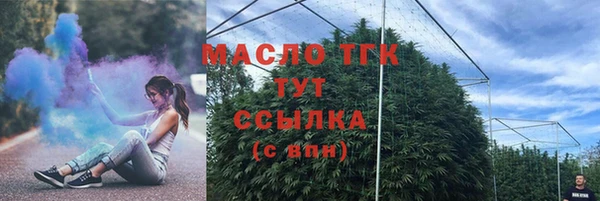 шишки Абаза