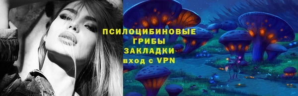 герыч Пестово