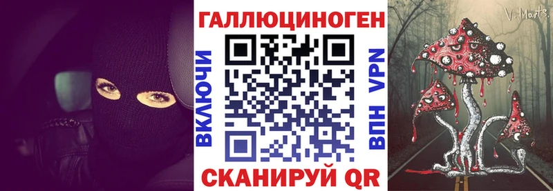 Галлюциногенные грибы мицелий  блэк спрут зеркало  Новотроицк  дарнет шоп 